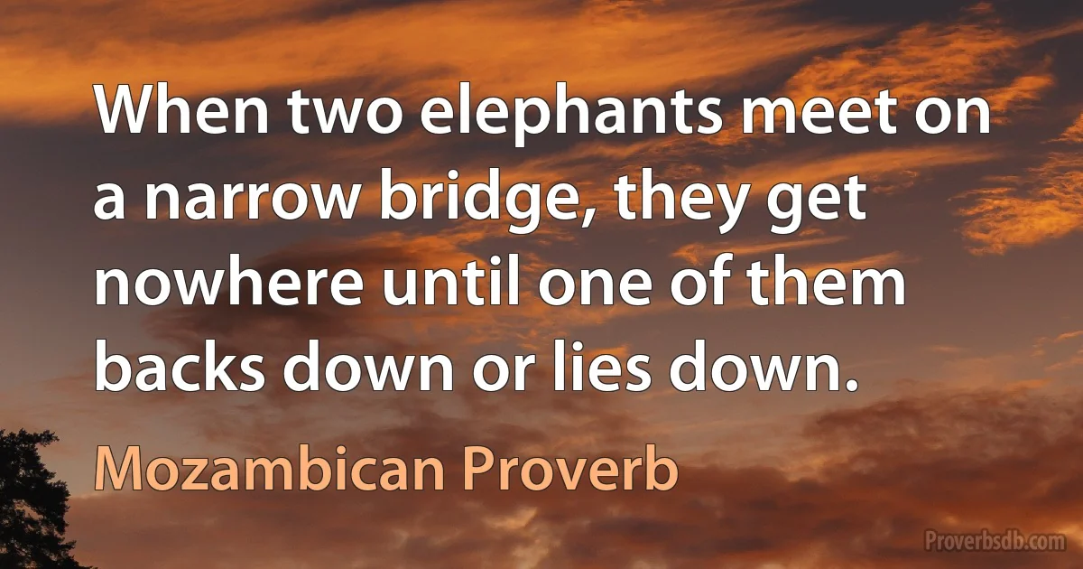 When two elephants meet on a narrow bridge, they get nowhere until one of them backs down or lies down. (Mozambican Proverb)