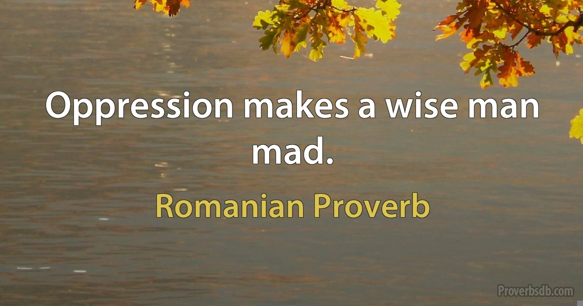 Oppression makes a wise man mad. (Romanian Proverb)