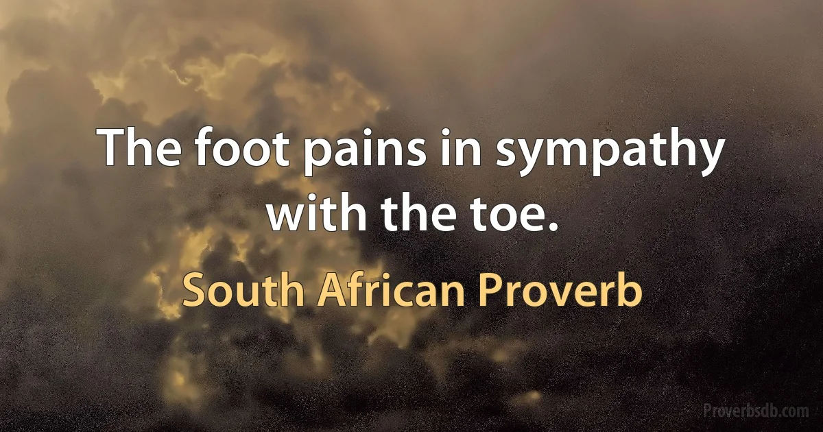 The foot pains in sympathy with the toe. (South African Proverb)