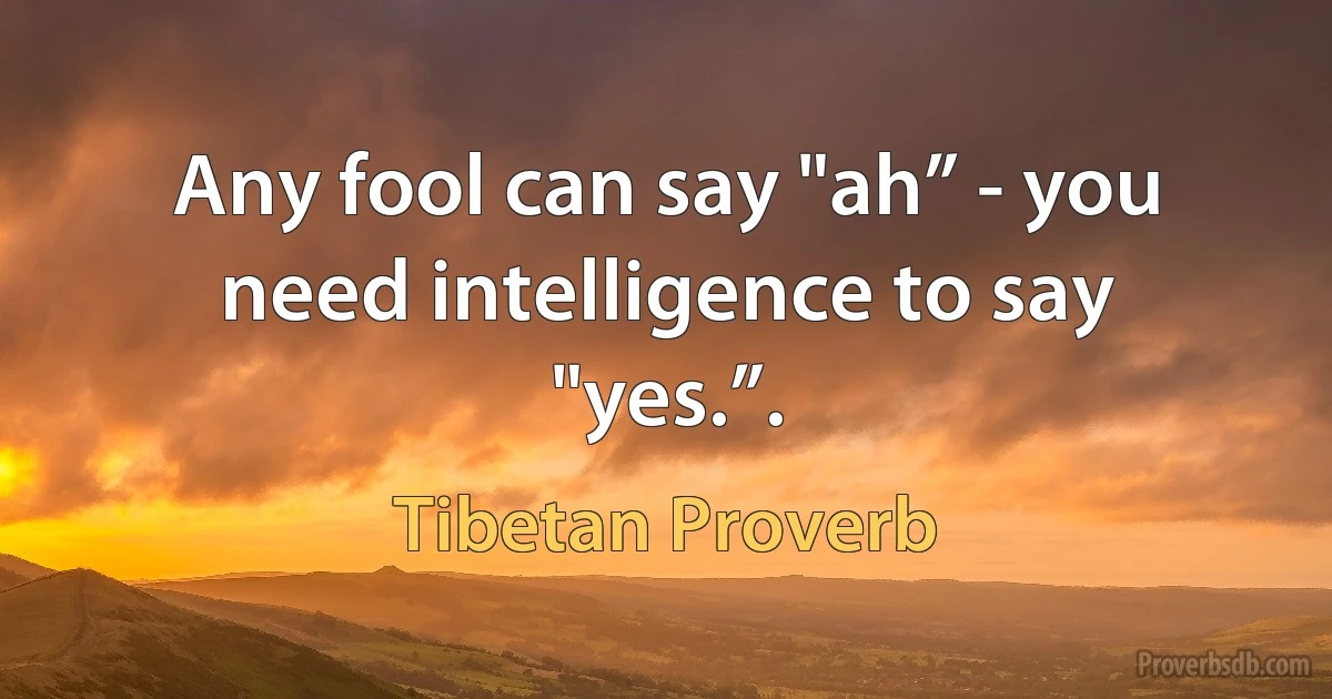 Any fool can say "ah” - you need intelligence to say "yes.”. (Tibetan Proverb)