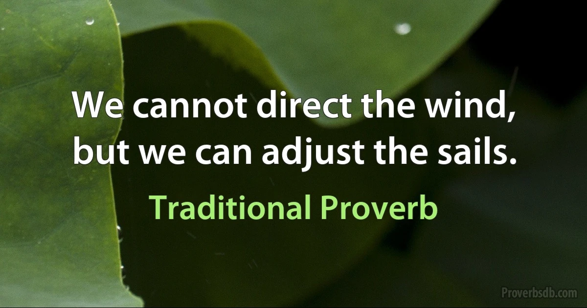 We cannot direct the wind, but we can adjust the sails. (Traditional Proverb)