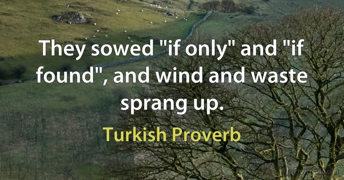 They sowed "if only" and "if found", and wind and waste sprang up. (Turkish Proverb)