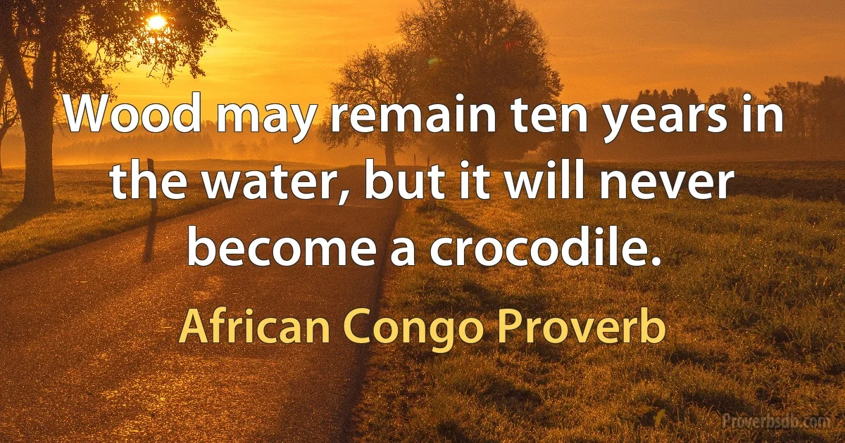 Wood may remain ten years in the water, but it will never become a crocodile. (African Congo Proverb)