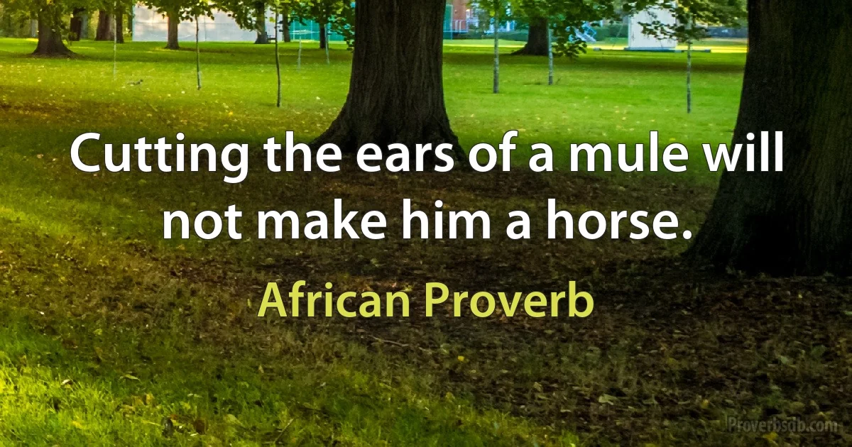 Cutting the ears of a mule will not make him a horse. (African Proverb)