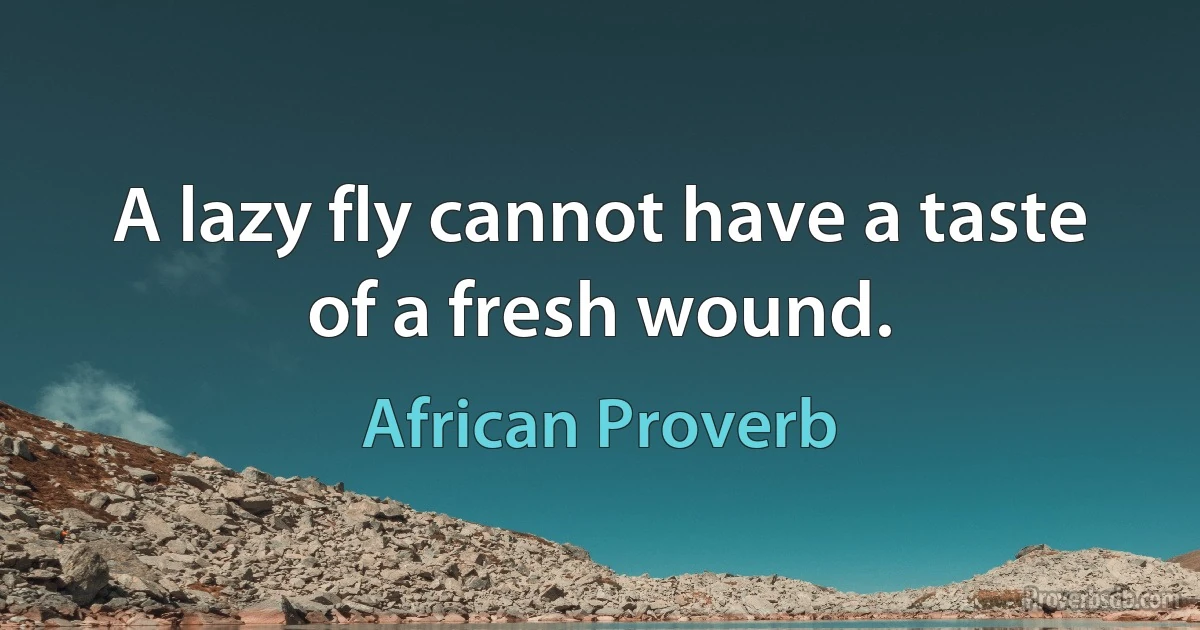 A lazy fly cannot have a taste of a fresh wound. (African Proverb)