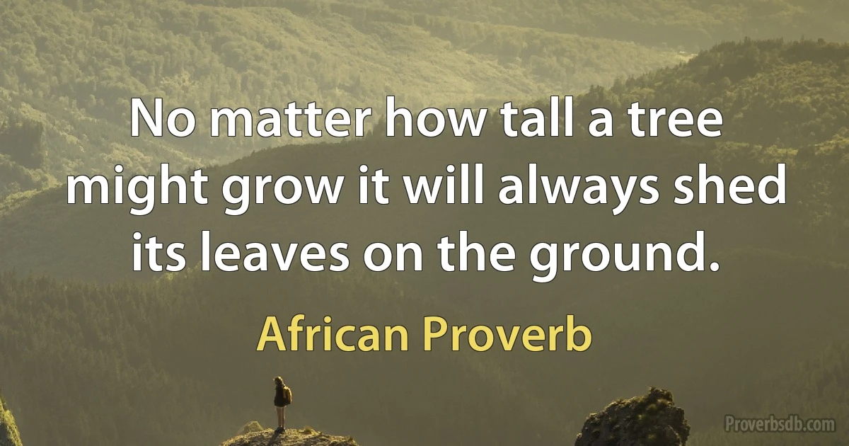 No matter how tall a tree might grow it will always shed its leaves on the ground. (African Proverb)