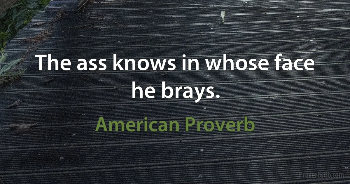 The ass knows in whose face he brays. (American Proverb)