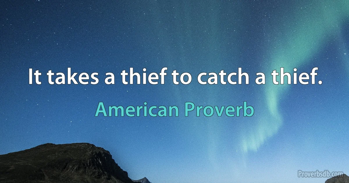 It takes a thief to catch a thief. (American Proverb)