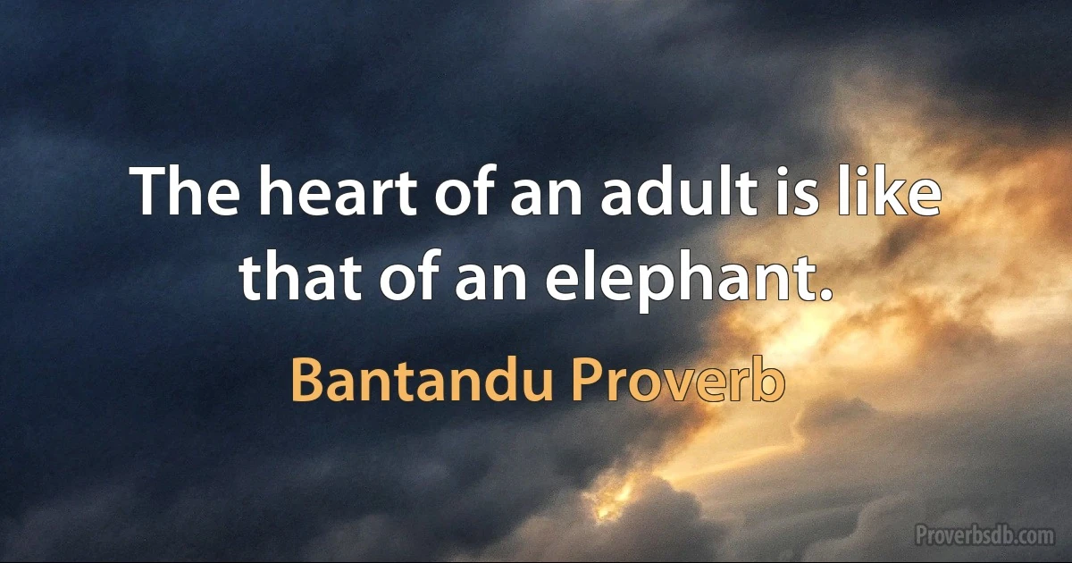 The heart of an adult is like that of an elephant. (Bantandu Proverb)