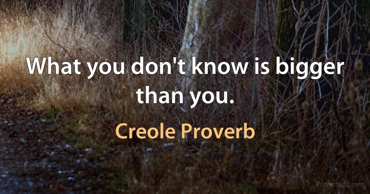 What you don't know is bigger than you. (Creole Proverb)