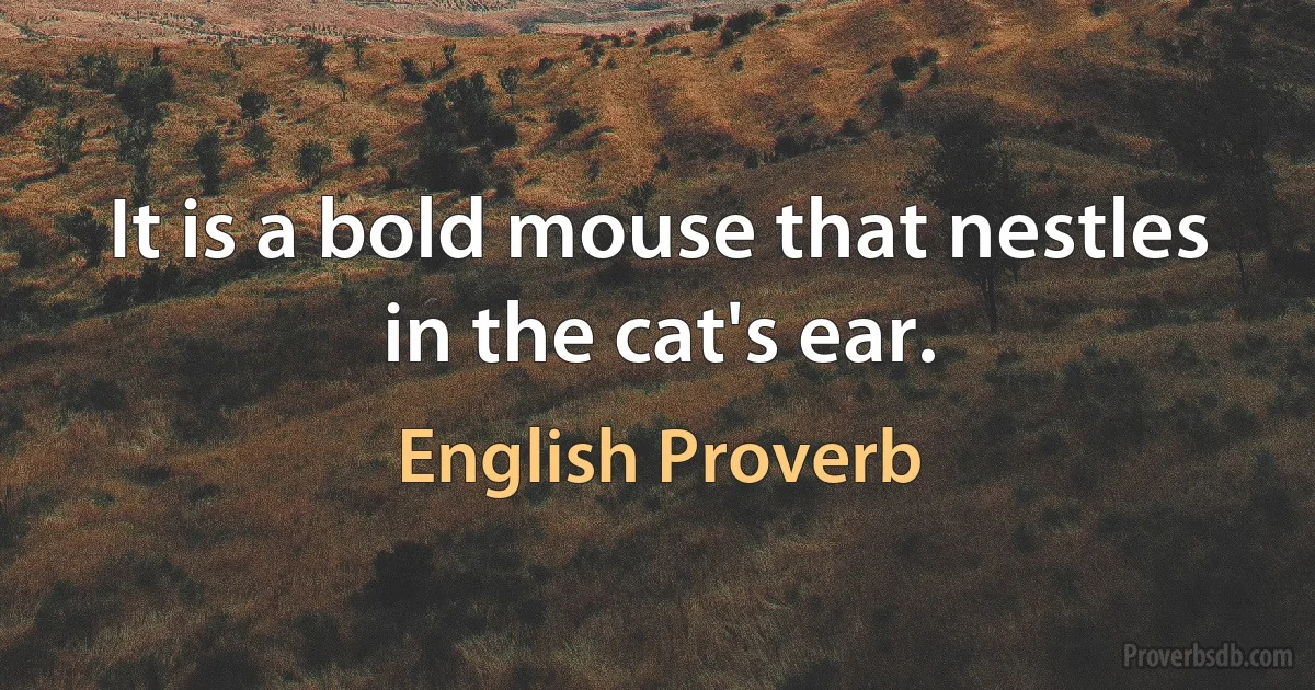 It is a bold mouse that nestles in the cat's ear. (English Proverb)