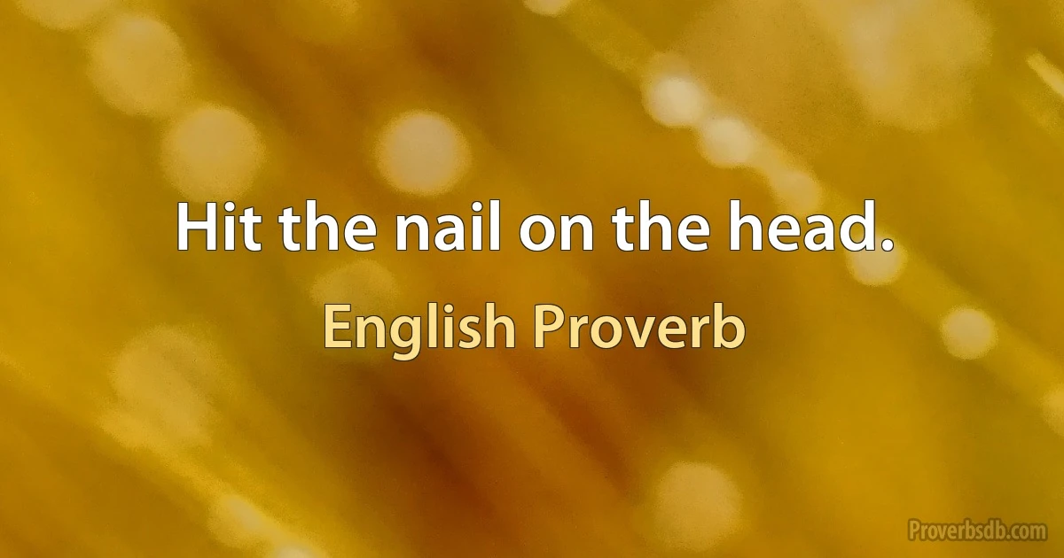 Hit the nail on the head. (English Proverb)