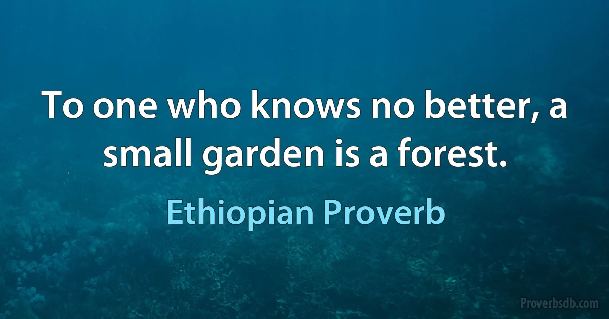 To one who knows no better, a small garden is a forest. (Ethiopian Proverb)