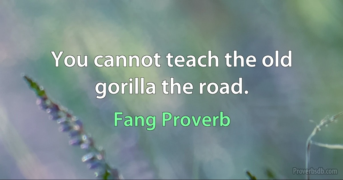 You cannot teach the old gorilla the road. (Fang Proverb)