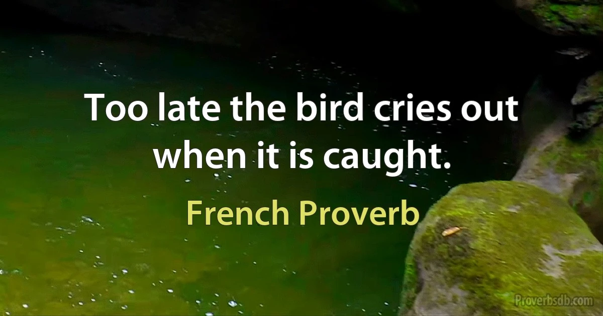 Too late the bird cries out when it is caught. (French Proverb)