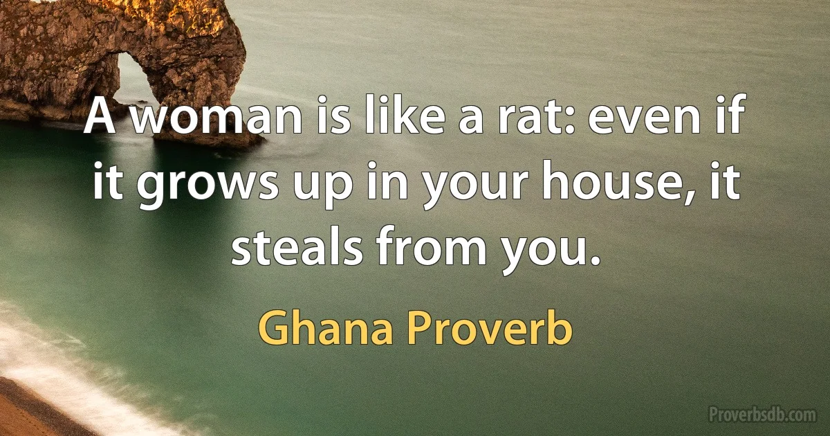 A woman is like a rat: even if it grows up in your house, it steals from you. (Ghana Proverb)