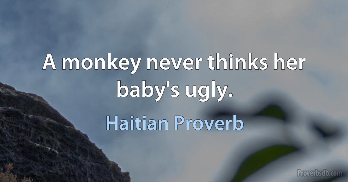 A monkey never thinks her baby's ugly. (Haitian Proverb)