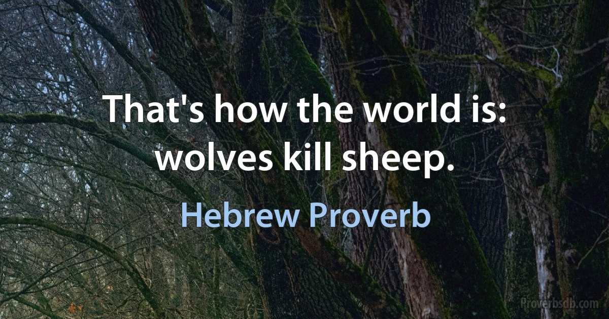 That's how the world is: wolves kill sheep. (Hebrew Proverb)