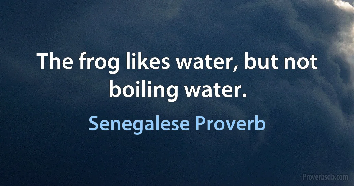 The frog likes water, but not boiling water. (Senegalese Proverb)