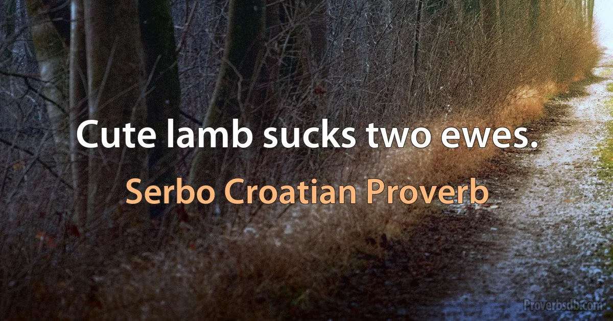 Cute lamb sucks two ewes. (Serbo Croatian Proverb)