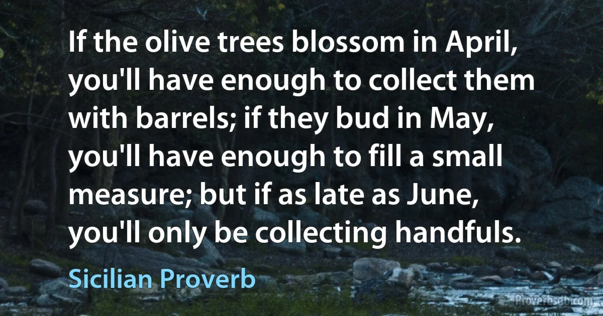 If the olive trees blossom in April, you'll have enough to collect them with barrels; if they bud in May, you'll have enough to fill a small measure; but if as late as June, you'll only be collecting handfuls. (Sicilian Proverb)