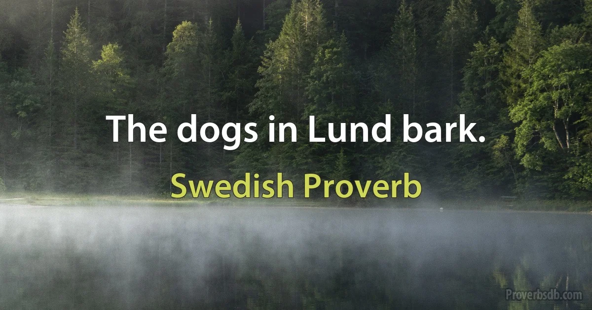 The dogs in Lund bark. (Swedish Proverb)