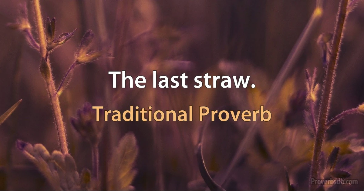 The last straw. (Traditional Proverb)