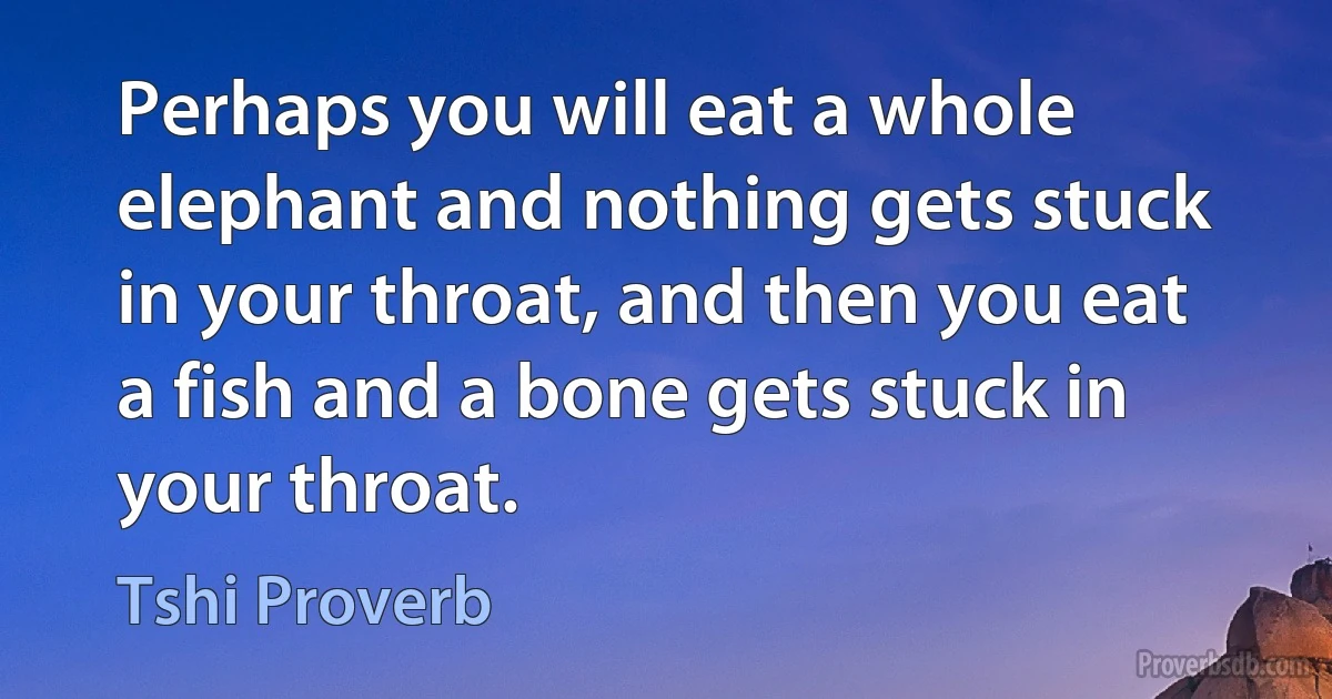 Perhaps you will eat a whole elephant and nothing gets stuck in your throat, and then you eat a fish and a bone gets stuck in your throat. (Tshi Proverb)