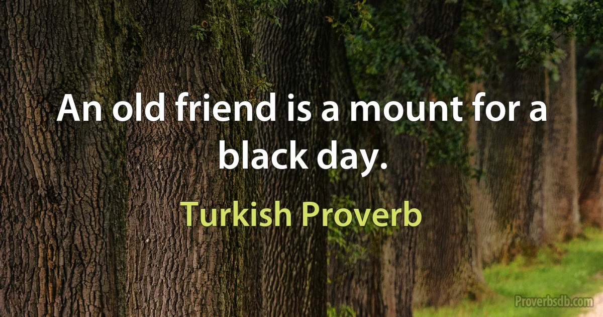 An old friend is a mount for a black day. (Turkish Proverb)