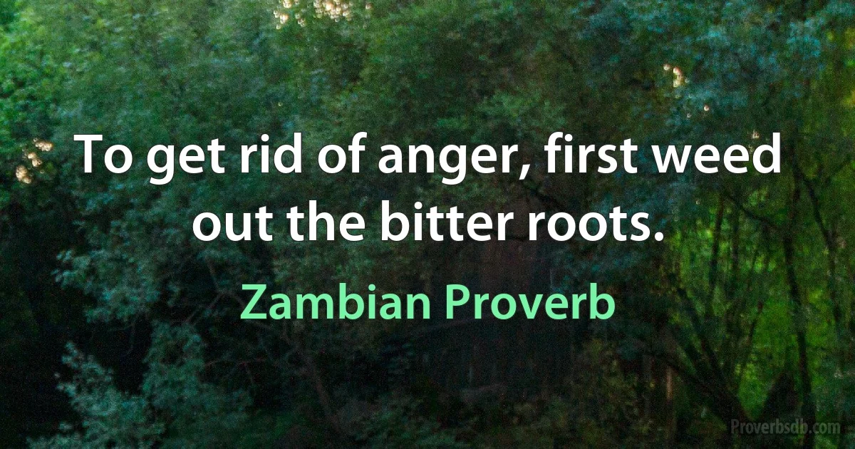 To get rid of anger, first weed out the bitter roots. (Zambian Proverb)