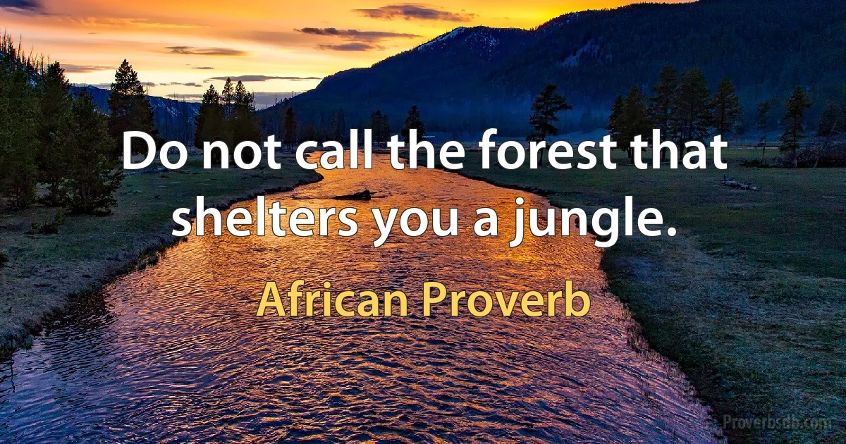 Do not call the forest that shelters you a jungle. (African Proverb)