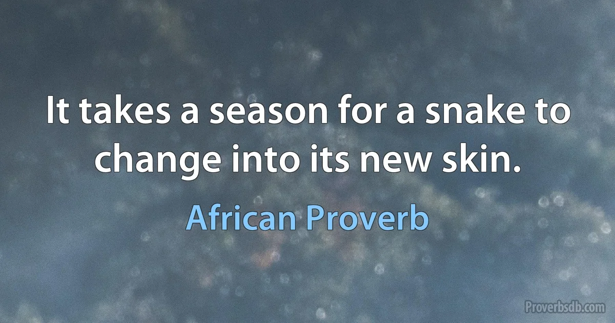 It takes a season for a snake to change into its new skin. (African Proverb)