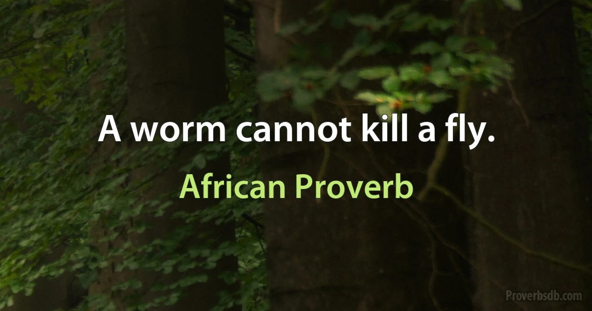 A worm cannot kill a fly. (African Proverb)