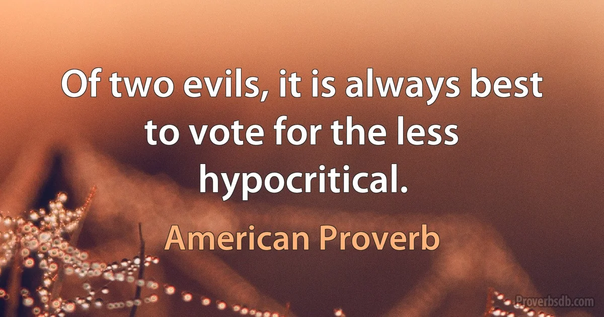 Of two evils, it is always best to vote for the less hypocritical. (American Proverb)