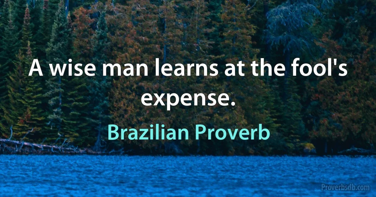 A wise man learns at the fool's expense. (Brazilian Proverb)