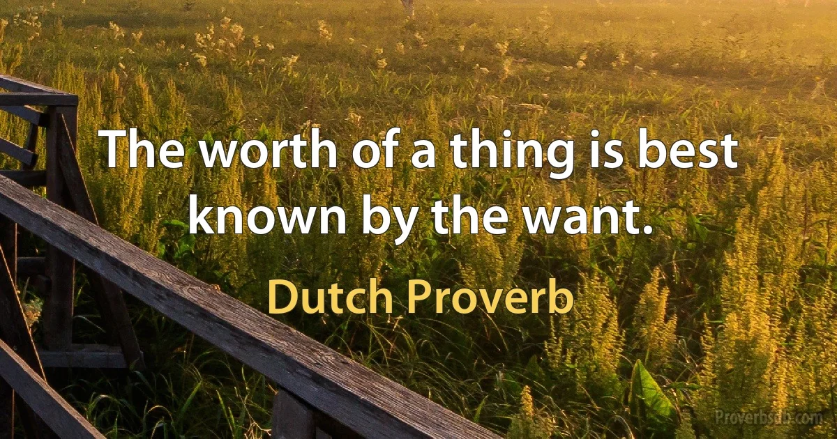 The worth of a thing is best known by the want. (Dutch Proverb)