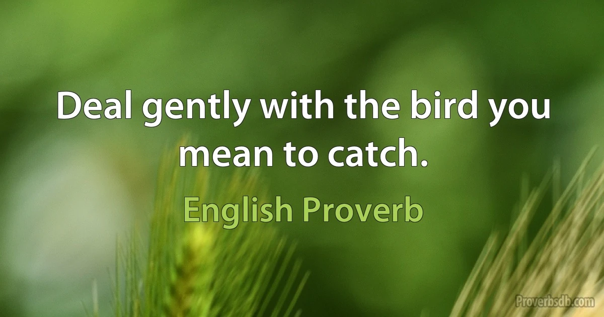 Deal gently with the bird you mean to catch. (English Proverb)