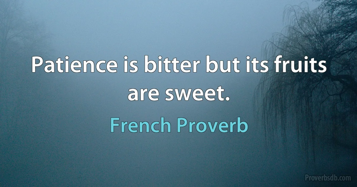 Patience is bitter but its fruits are sweet. (French Proverb)