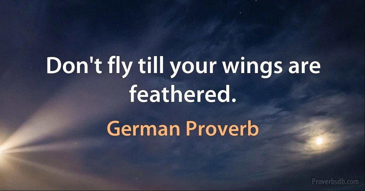 Don't fly till your wings are feathered. (German Proverb)