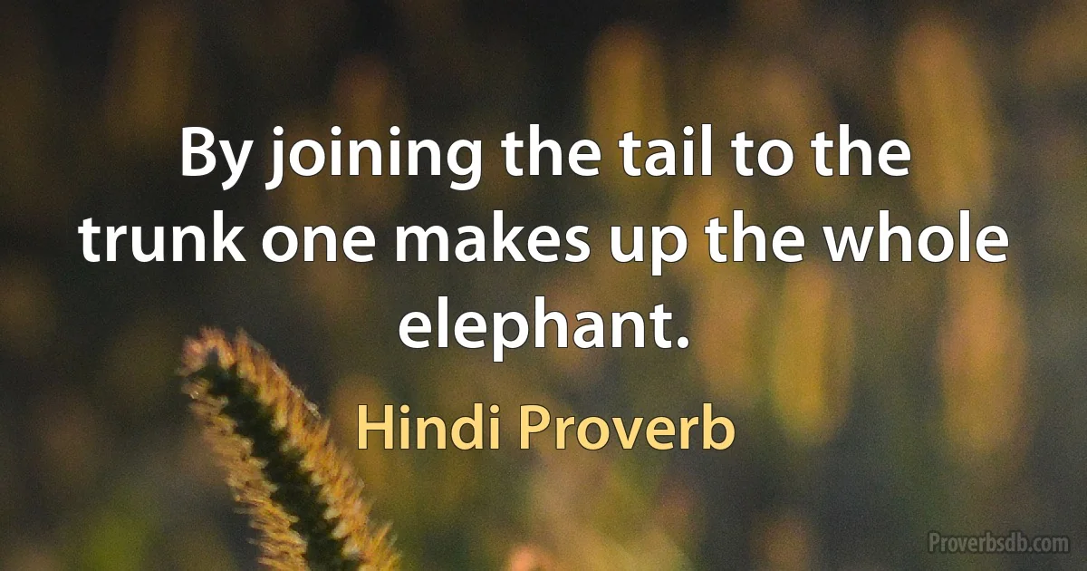 By joining the tail to the trunk one makes up the whole elephant. (Hindi Proverb)