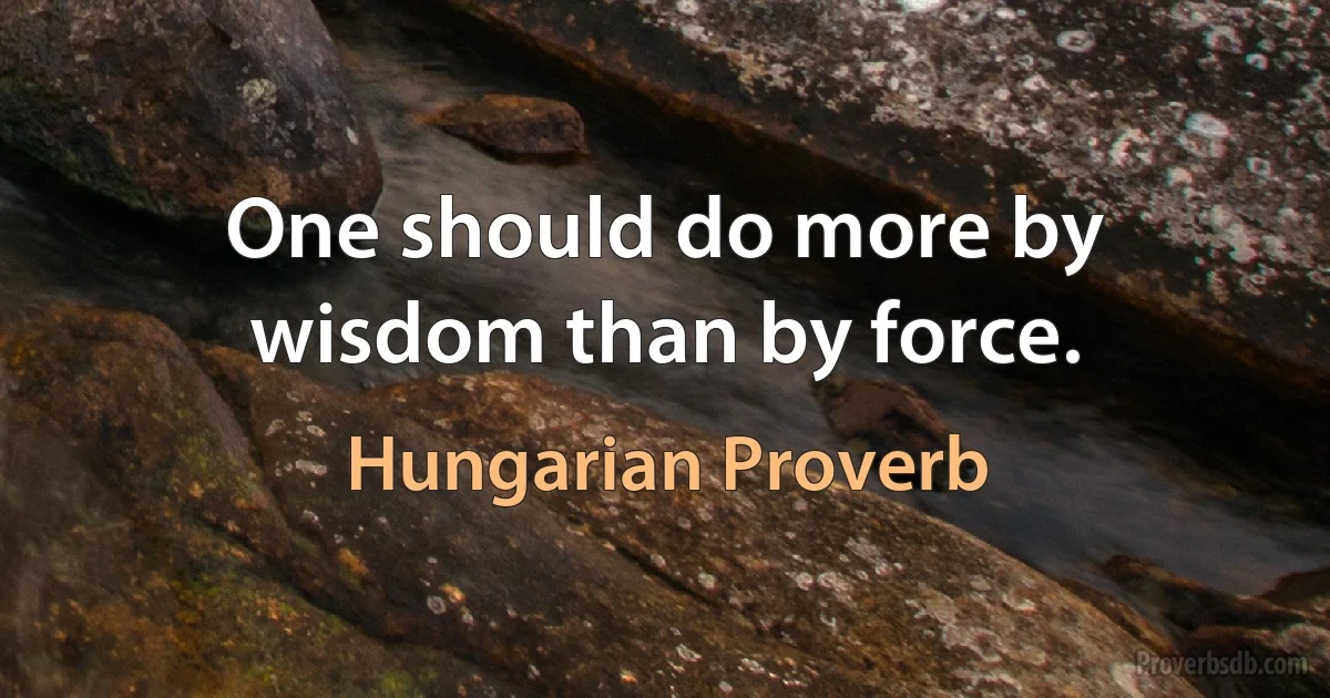 One should do more by wisdom than by force. (Hungarian Proverb)