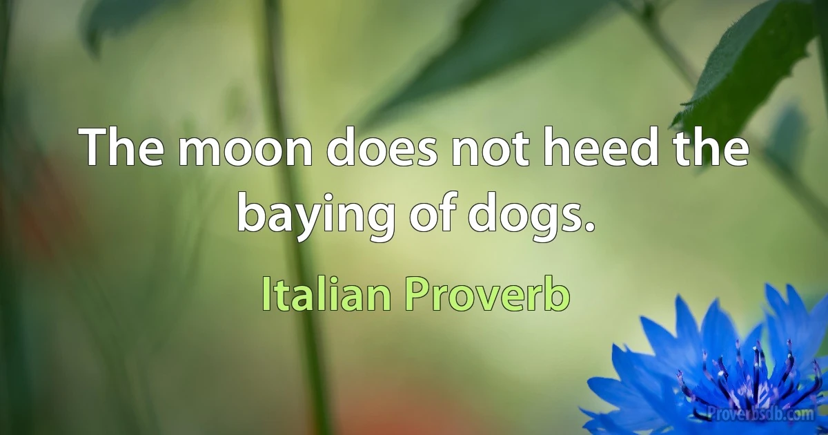 The moon does not heed the baying of dogs. (Italian Proverb)