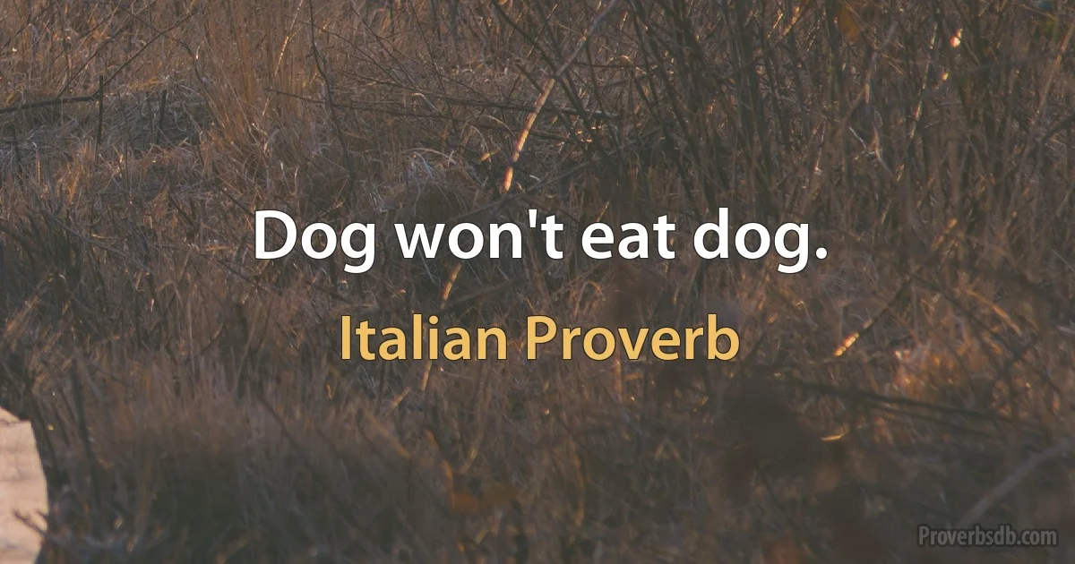 Dog won't eat dog. (Italian Proverb)