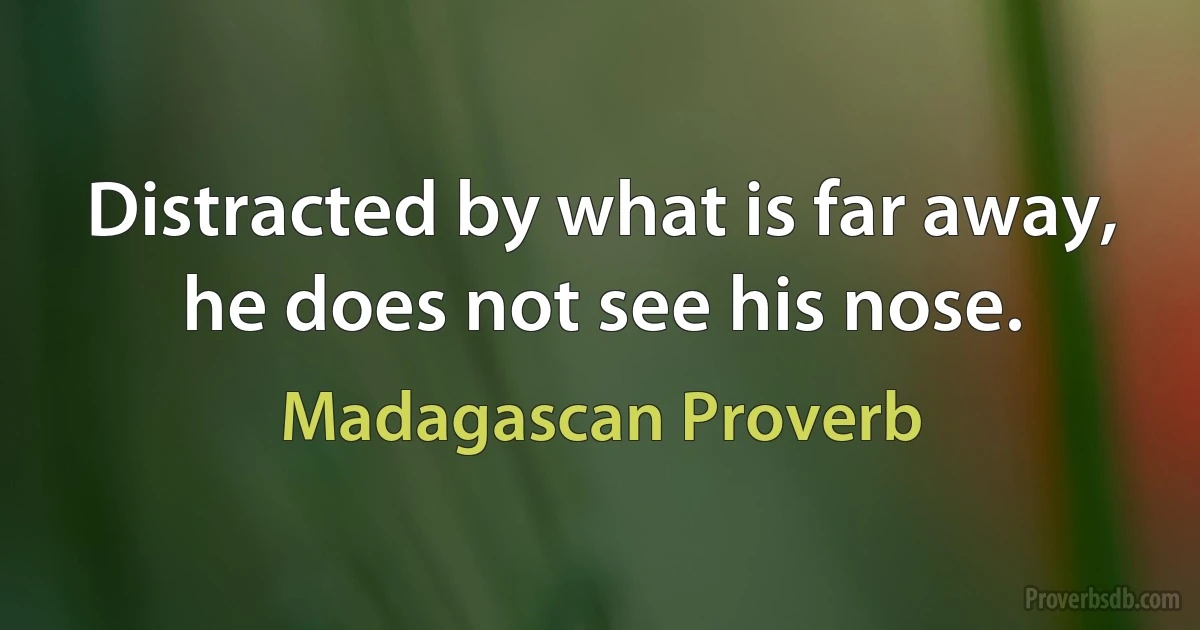 Distracted by what is far away, he does not see his nose. (Madagascan Proverb)