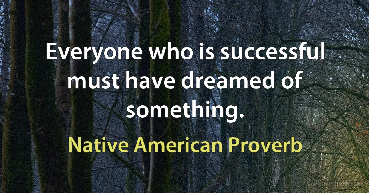 Everyone who is successful must have dreamed of something. (Native American Proverb)