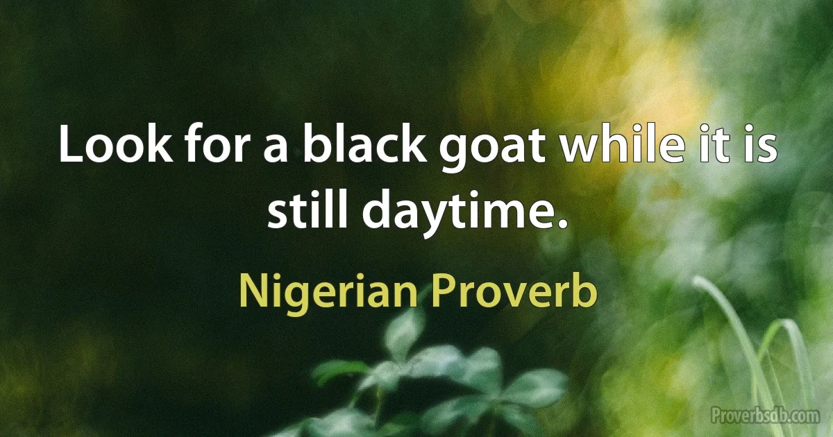 Look for a black goat while it is still daytime. (Nigerian Proverb)