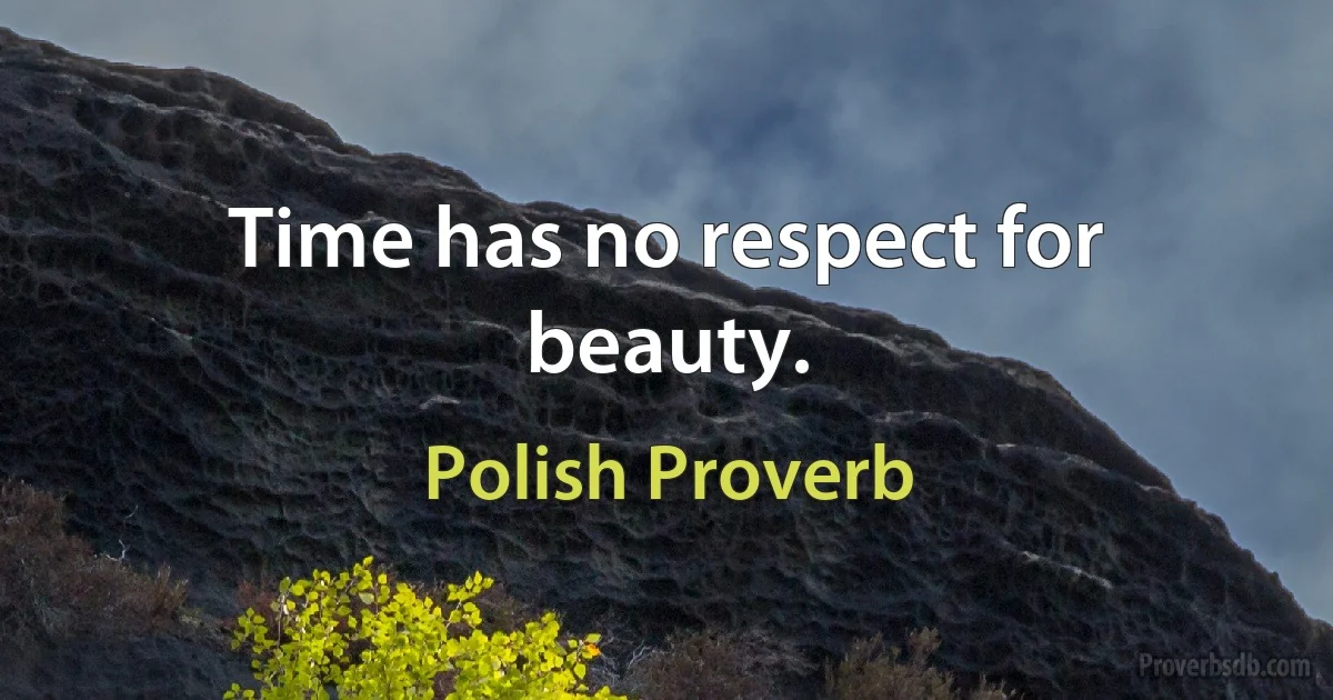 Time has no respect for beauty. (Polish Proverb)