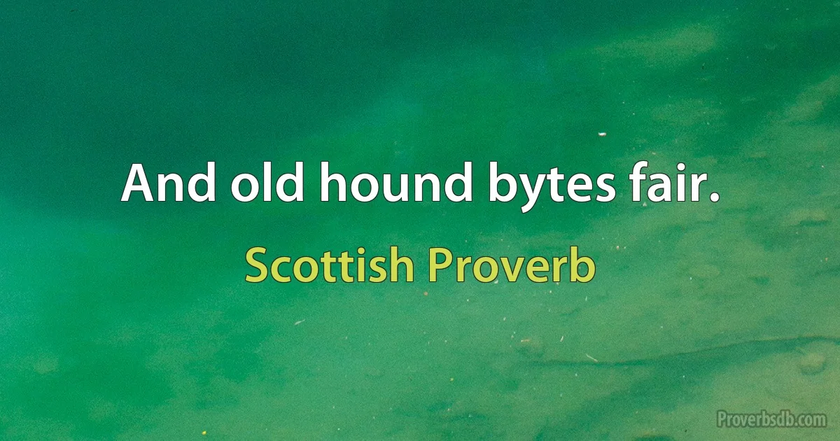 And old hound bytes fair. (Scottish Proverb)