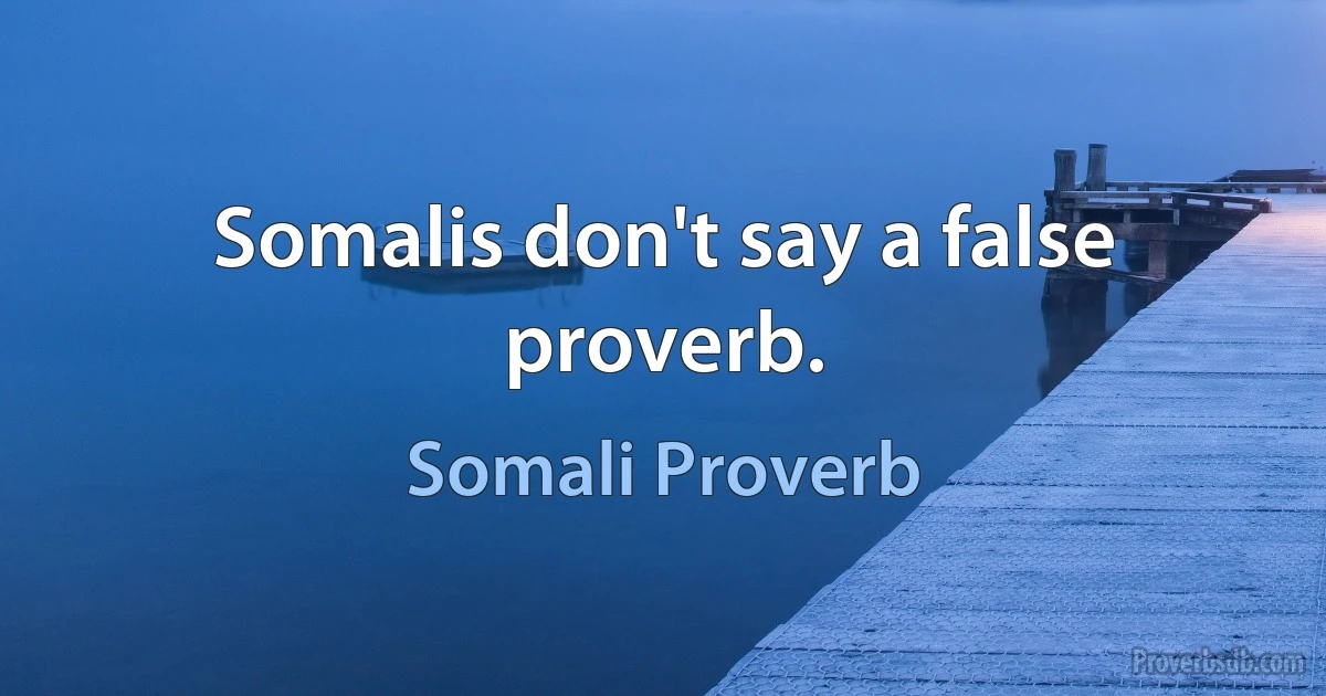 Somalis don't say a false proverb. (Somali Proverb)