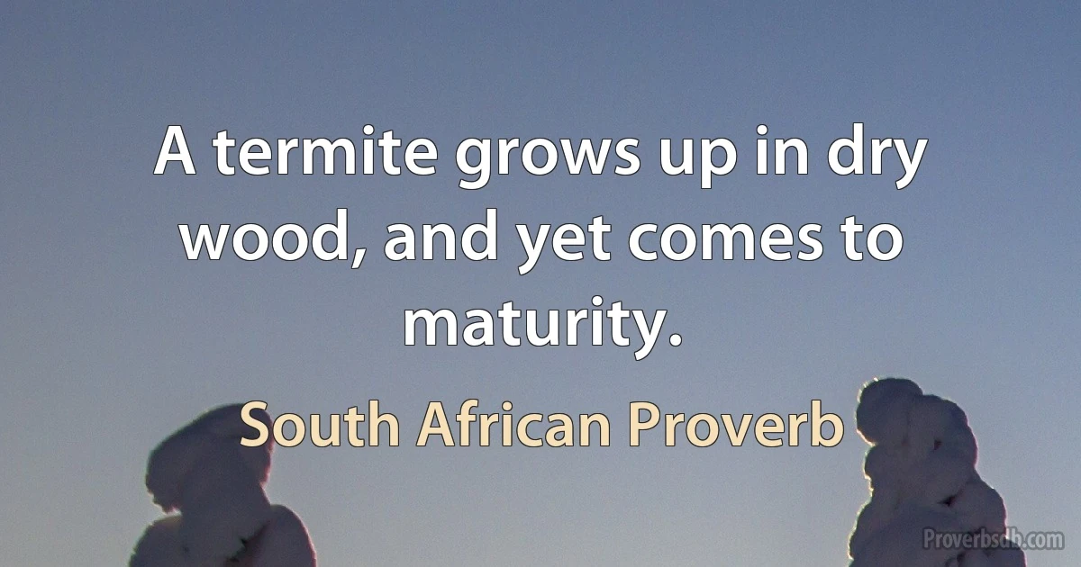 A termite grows up in dry wood, and yet comes to maturity. (South African Proverb)